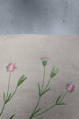 FLORA DANICA PUDE 49