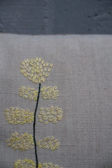 FLORA DANICA PUDE 56