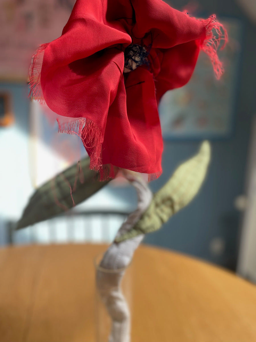 EVIGHEDSBLOMSTER 10