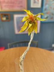 EVIGHEDSBLOMSTER 25
