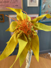 EVIGHEDSBLOMSTER 25