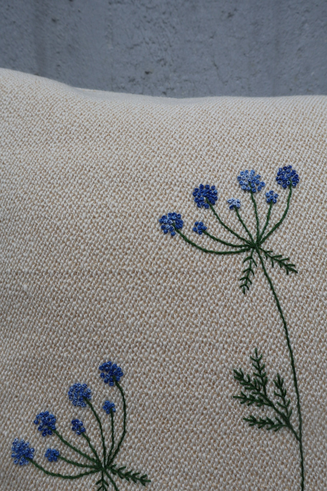 FLORA DANICA PUDE 61