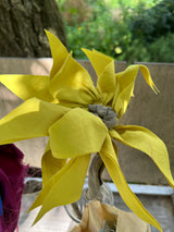 EVIGHEDSBLOMSTER sæt 44 (3 stk.)