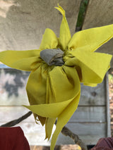 EVIGHEDSBLOMSTER sæt 45 (3 stk.)