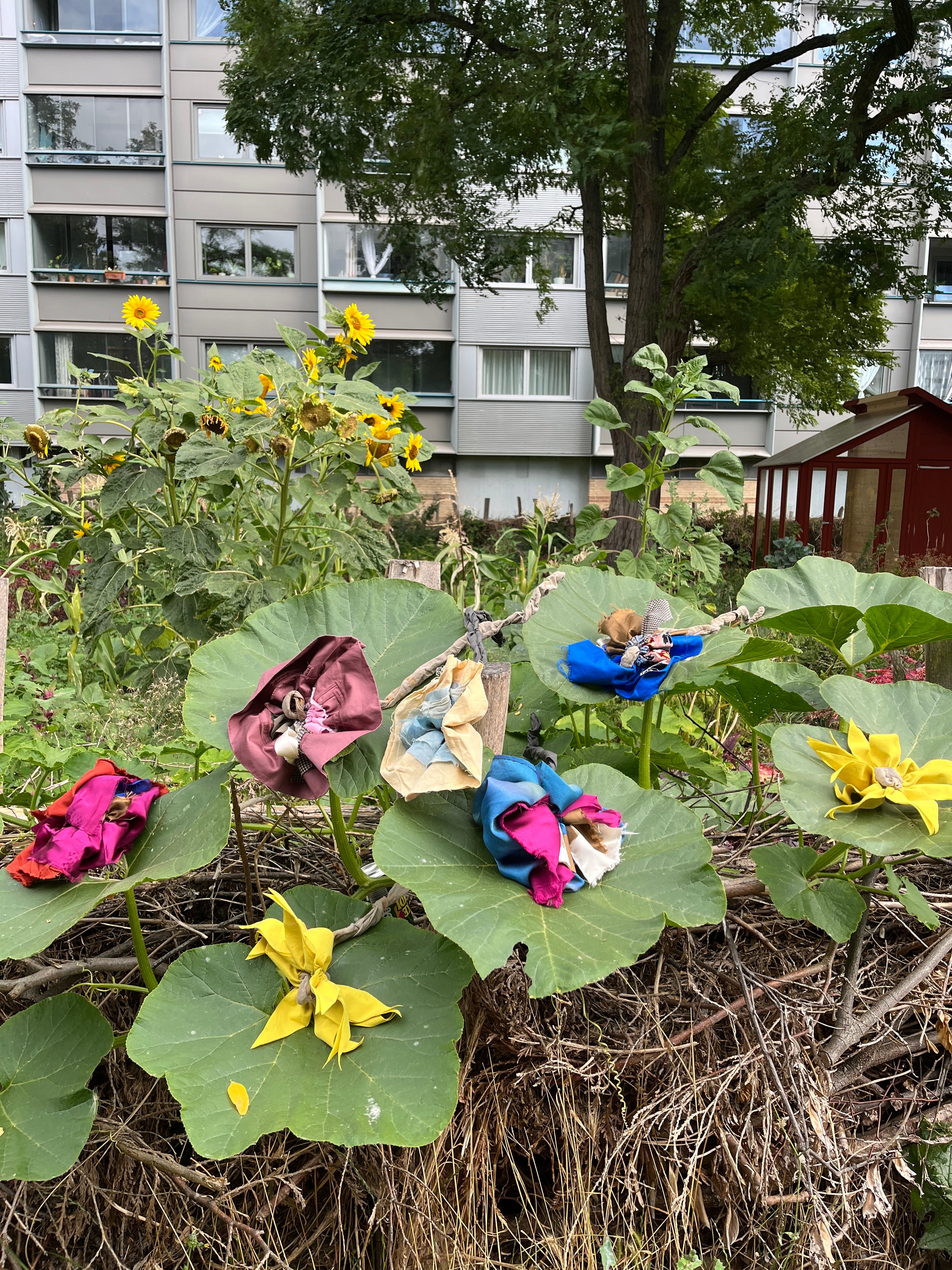 EVIGHEDSBLOMSTER sæt 46 (3 stk.)