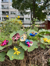 EVIGHEDSBLOMSTER sæt 46 (3 stk.)