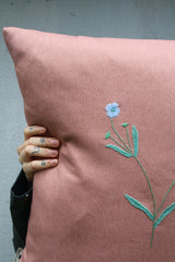 FLORA DANICA PUDE 62