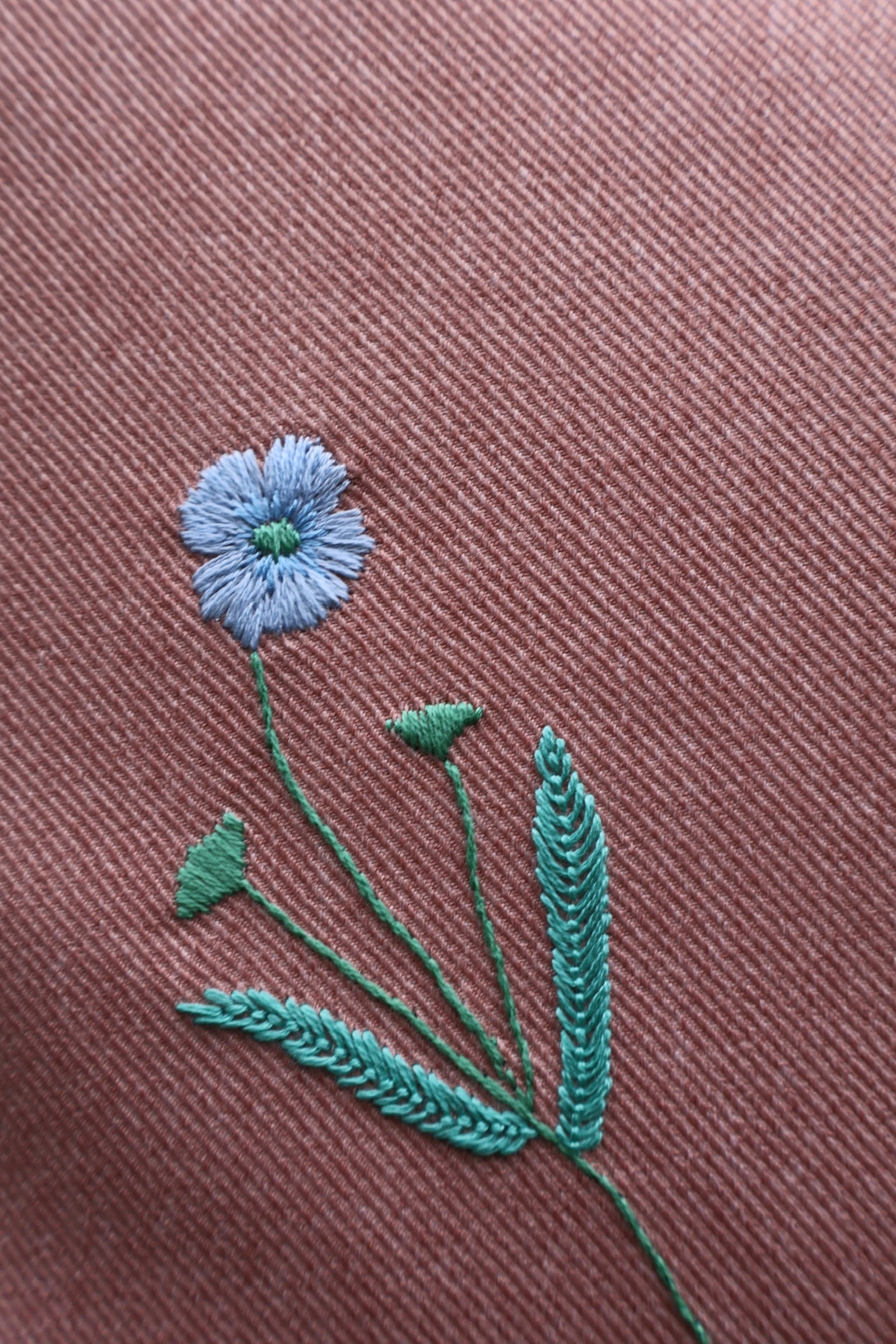 FLORA DANICA PUDE 62